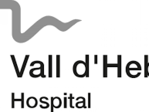 Logo Vall d'Hebron 